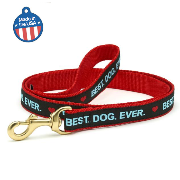 Best Dog Ever Collar or Leash