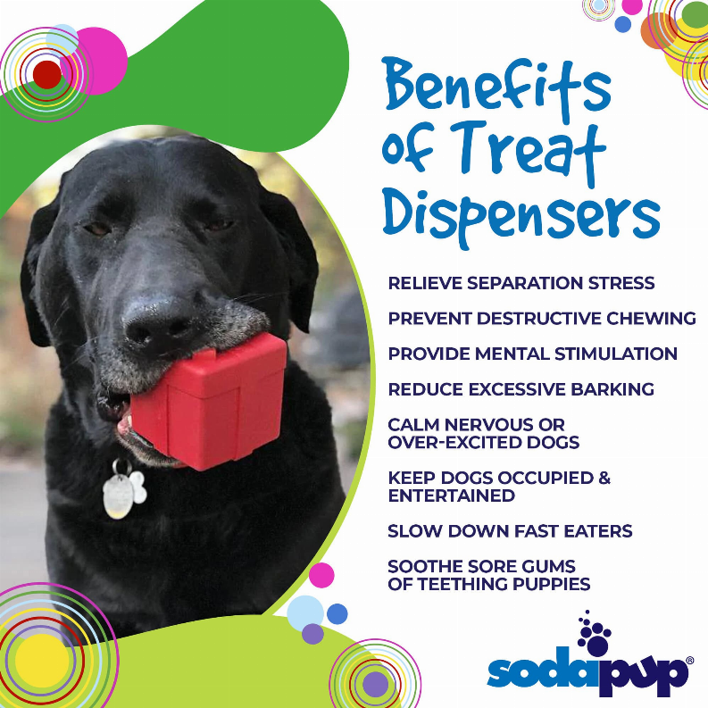 SP Gift Box Durable Rubber Chew Toy & Treat Dispenser