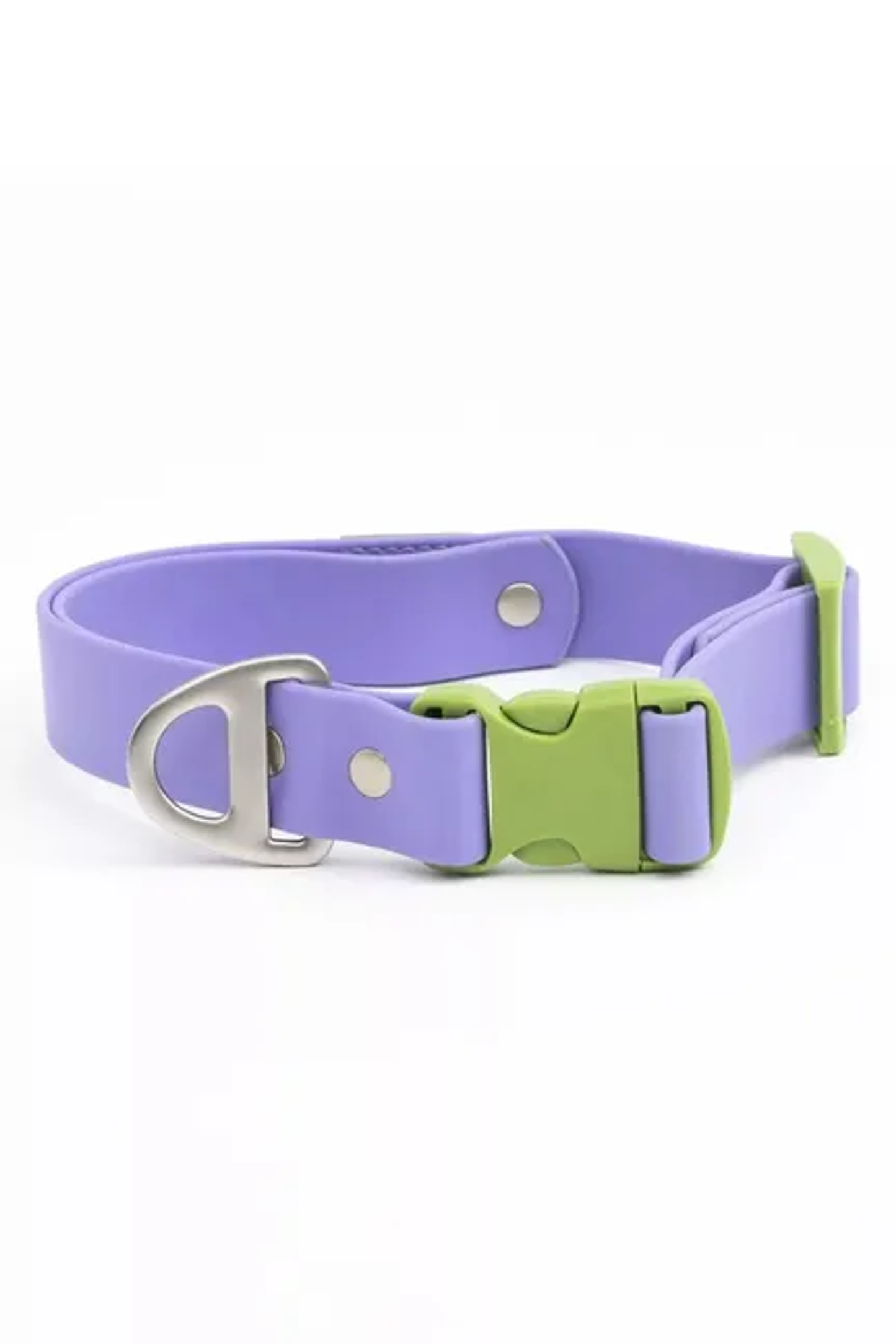 Lavender Garden Waterproof Dog Collar