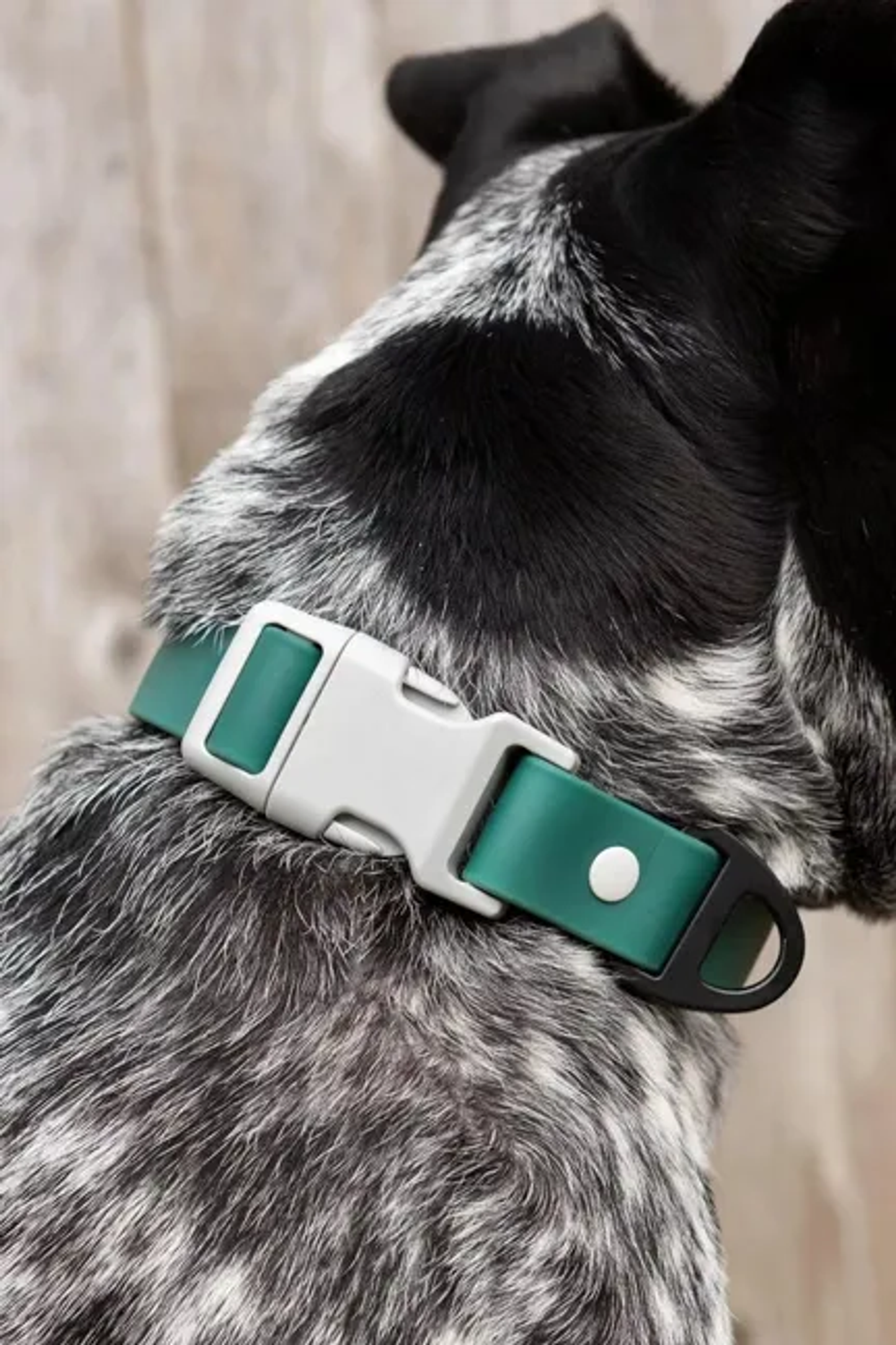 Siberian Spruce Waterproof Dog Collar