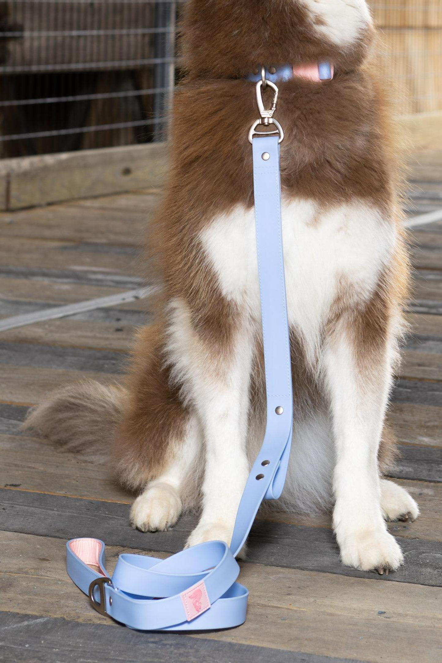 Blue Sky Orchid Waterproof Leash